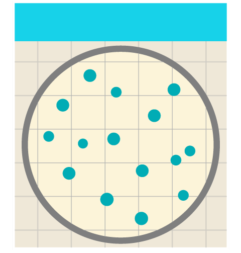 EasyPlate CC