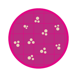 快速检测卡计数Petrifilm、CompactDry、MC-Media Pads、Easy Plate