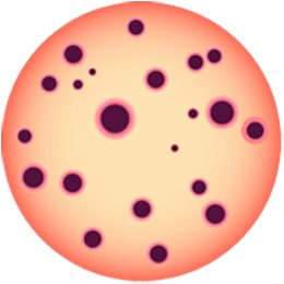  直径150毫米的培养皿计数