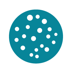 Scan Ai，每小时读取400个培养皿