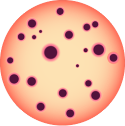 肠科杆菌 (VRBL/VRBG)